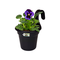 green basics easy hanger small living black